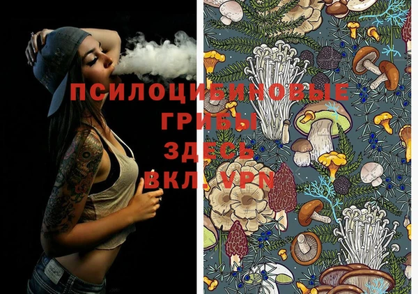 бошки Лихославль