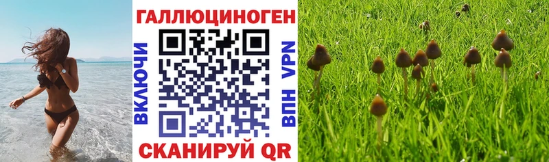 Галлюциногенные грибы прущие грибы  Купить  Весьегонск 